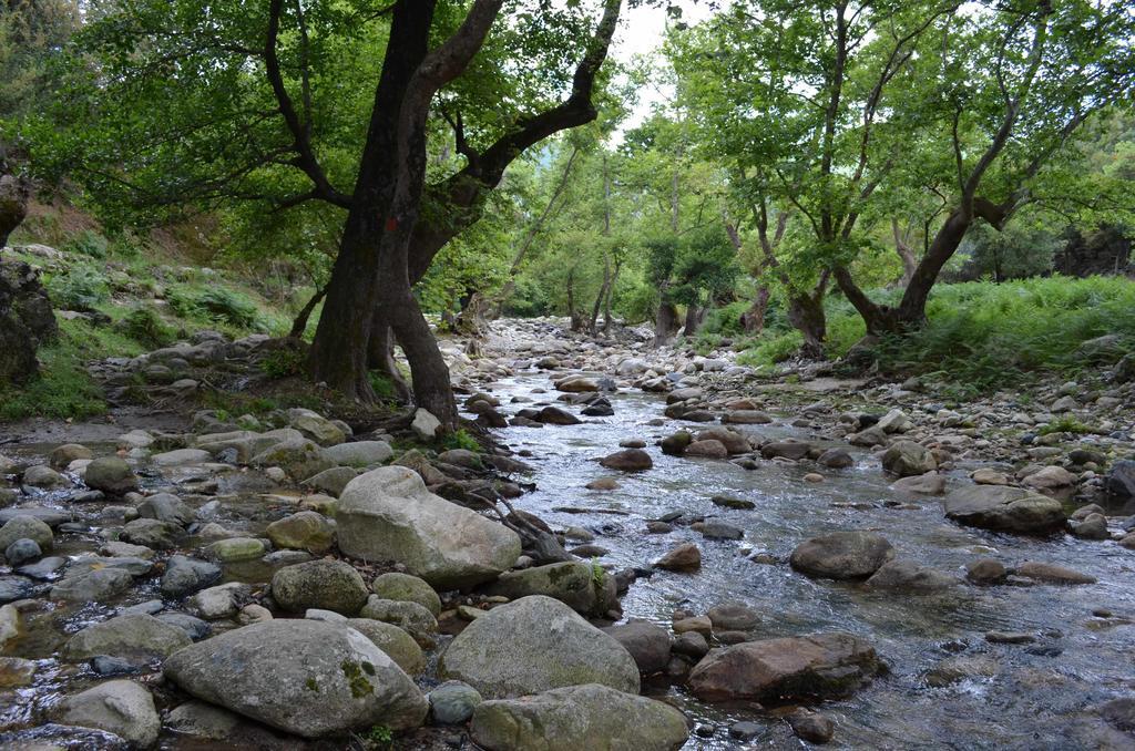 Galini Samothraki Otel Therma  Dış mekan fotoğraf