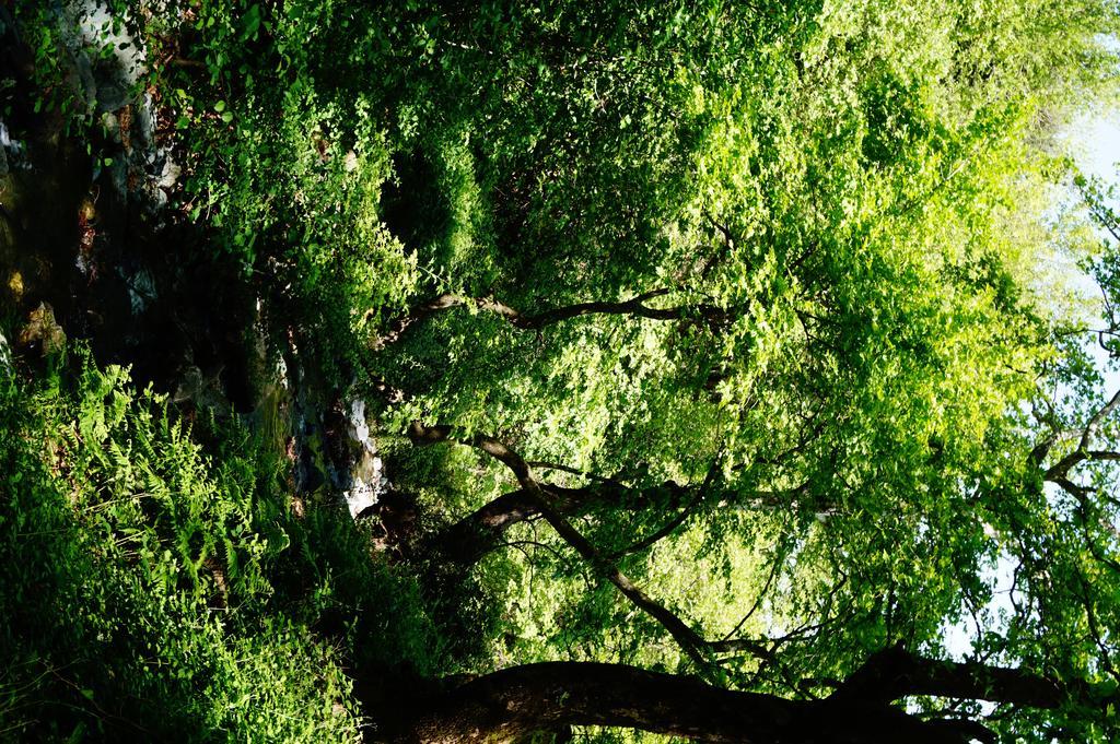 Galini Samothraki Otel Therma  Dış mekan fotoğraf