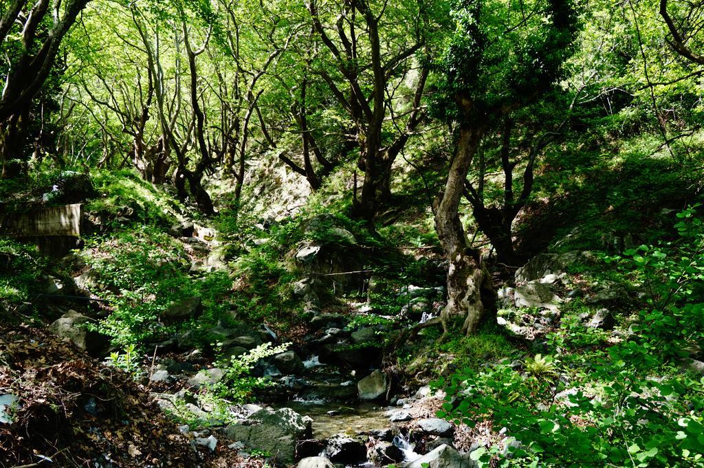 Galini Samothraki Otel Therma  Dış mekan fotoğraf