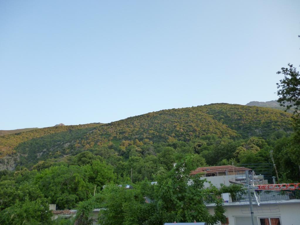 Galini Samothraki Otel Therma  Dış mekan fotoğraf