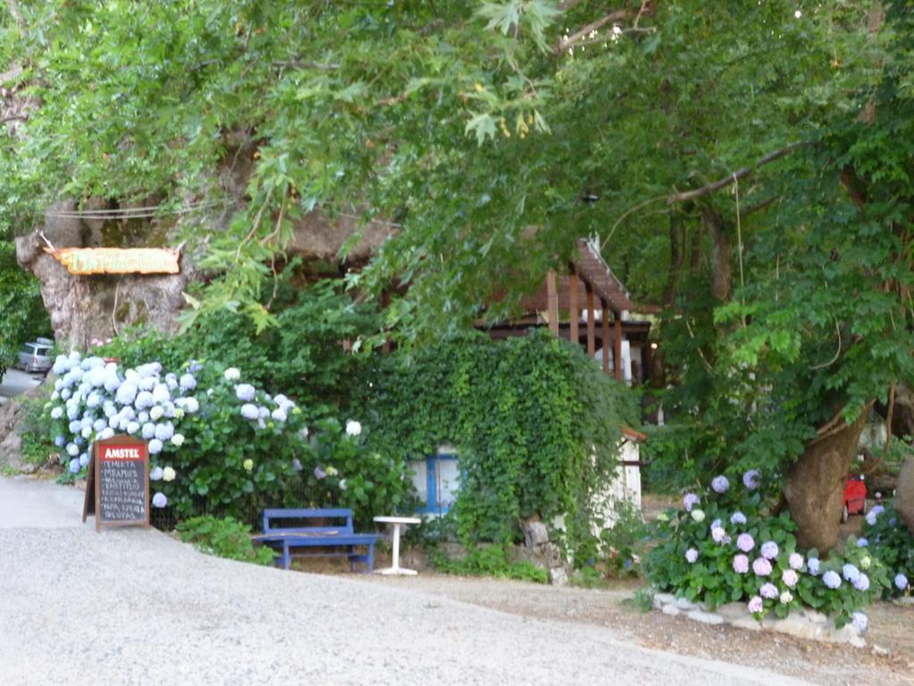 Galini Samothraki Otel Therma  Dış mekan fotoğraf