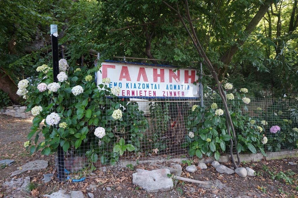 Galini Samothraki Otel Therma  Dış mekan fotoğraf