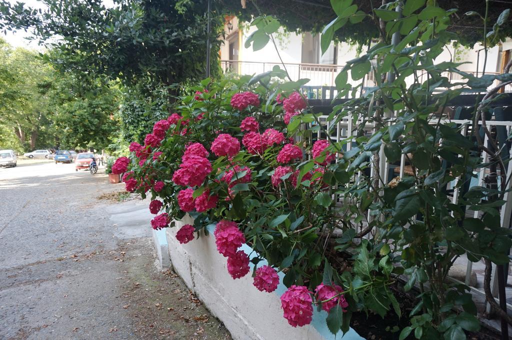 Galini Samothraki Otel Therma  Dış mekan fotoğraf
