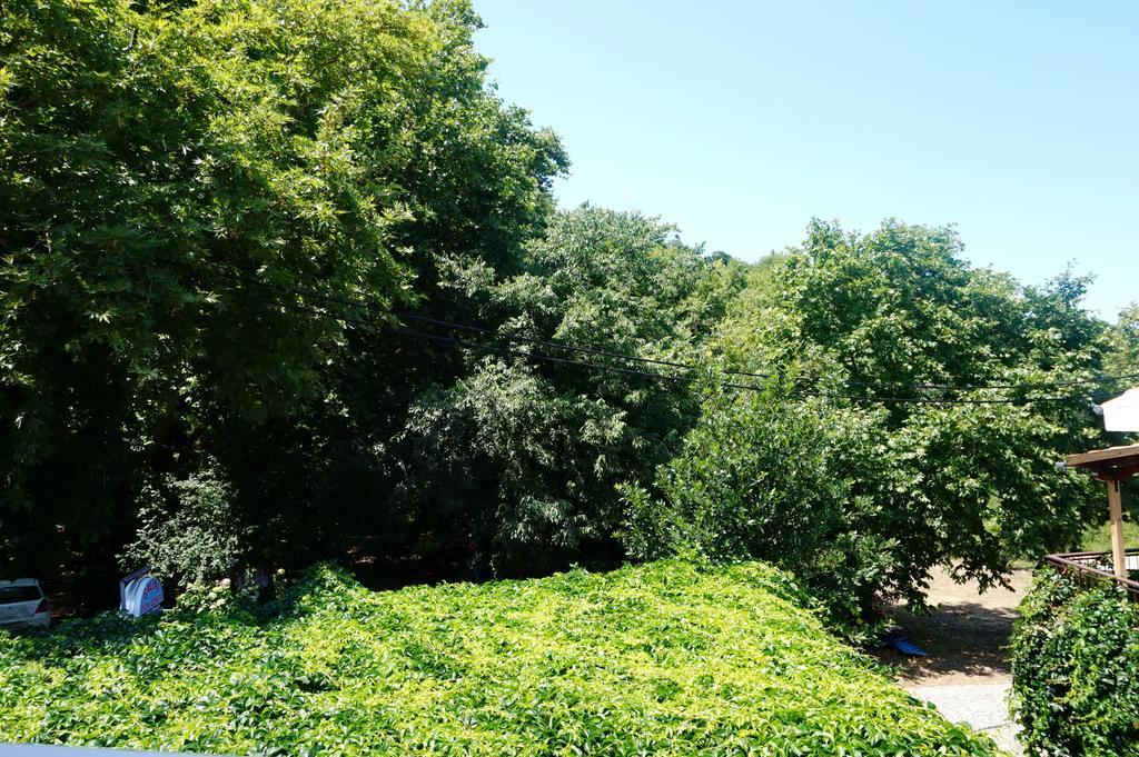 Galini Samothraki Otel Therma  Dış mekan fotoğraf